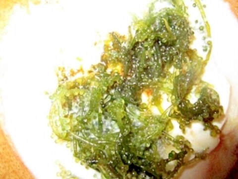 海葡萄豆腐